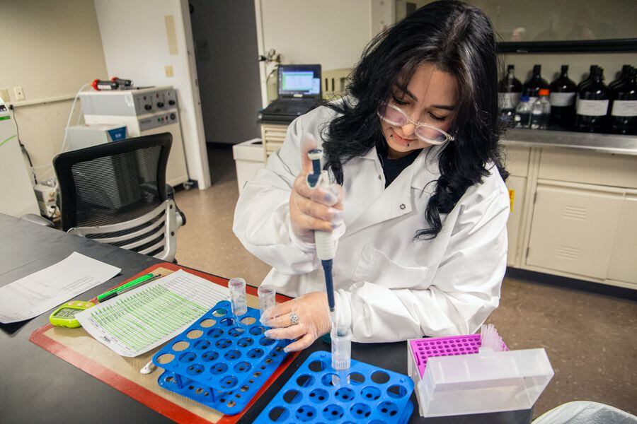 Sophia Candelaria performs pesticide testing for cannabis samples at Scepter Lab in Santa Fe.