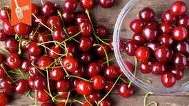The Fork: Oh. Em. Gee. It’s Cherry Season!