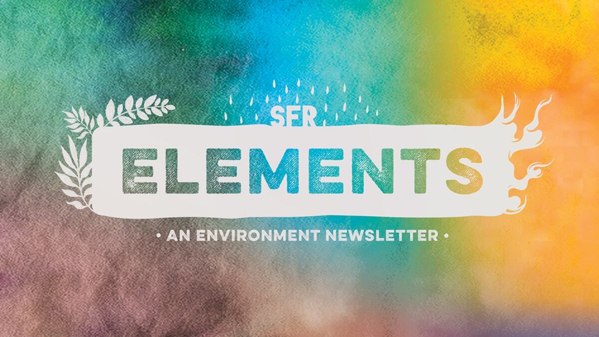 SFR Elements | News - Santa Fe Reporter