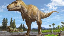 NM Fossil IDd as New Tyrannosaur