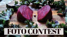 The 2020 Food Foto Contest