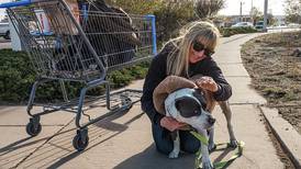 3 Questions with Karen Cain of the Street Homeless Animal Project